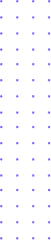 mis-aliados-2
